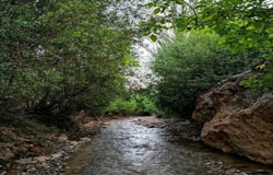 تور امرودک