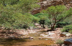 تور ابدال آباد