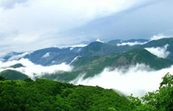 تور جنگل گلستان