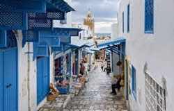 تور تونس