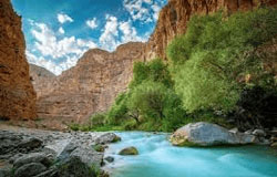 تور درونگر