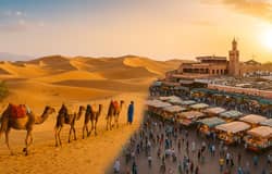 تور گروهی مراکش